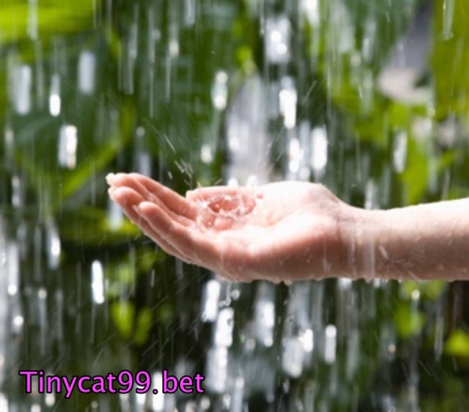 Mơ thấy mưa