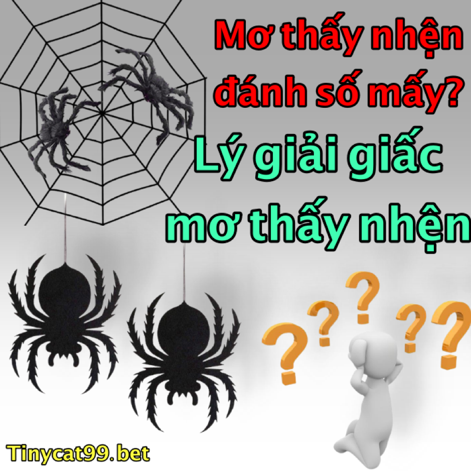 mơ thấy nhện