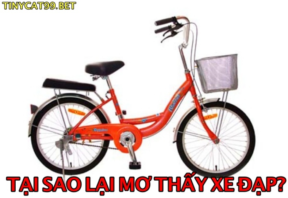 Nằm Mơ thấy Xe Đạp