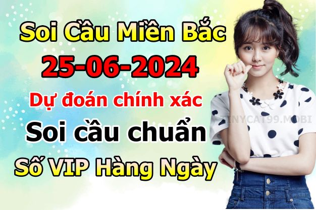 soi cầu xsmb 25/06/2024, soi cầu mb 25 06 2024, dự đoán xsmb 25-06-2024, btl mb 25 06 2024, dự đoán miền bắc 25/06/2024, chốt số mb 25 06 2024, soi cau mien bac 25-06-2024