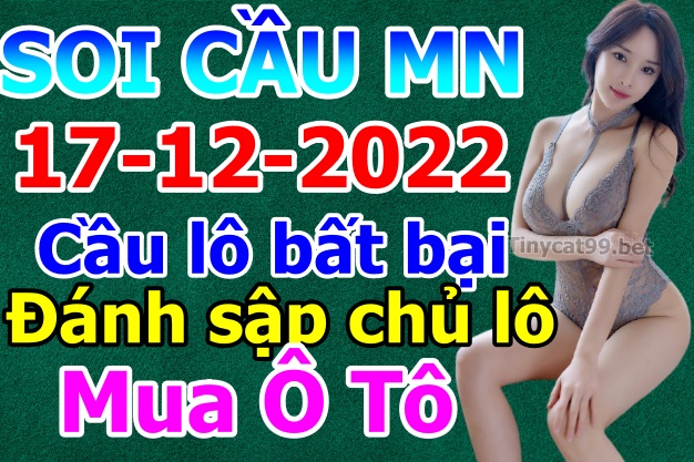 soi cầu xsmn 17 12 2022, soi cầu mn 17-12-2022, dự đoán xsmn 17-12-2022, btl mn 17-12-2022, dự đoán miền nam 17-12-2022, chốt số mn 17-12-2022, soi cau mien nam 17-12-2022