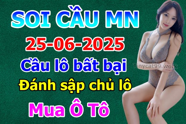 soi cầu xsmn 25 06 2025, soi cầu mn 25 06 2025, dự đoán xsmn 25/06/2025, btl mn 25 06 2025, dự đoán miền nam 25-06-2025, chốt số mn 25 06 2025, soi cau mien nam 25 06 2025