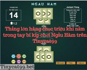 Thắng Lớn Hàng Chục Triệu Khi Nắm Trong Tay Bí Kíp Chơi Ngầu Hầm Trên Tinycat99