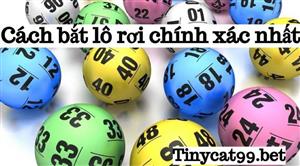Phương Pháp Bắt Lô Rơi Chính Xác Nhất Cần Được Áp Dụng Để Chiến Thắng