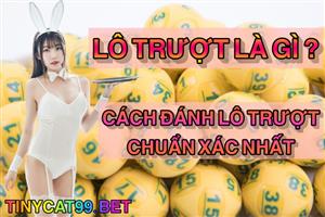 Mẹo Đánh Lô Trượt Của Các Cao Thủ Lô Đề Chuyên Nghiệp