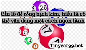 Cầu Lô Đề Rồng Bạch Kim, Hiểu Là Có Thể Vận Dụng Một Cách Ngon Lành