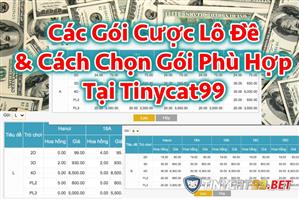 Hướng Dẫn Chọn Gói Cược Thích Hợp Đánh Lô Đề Online Tinycat99