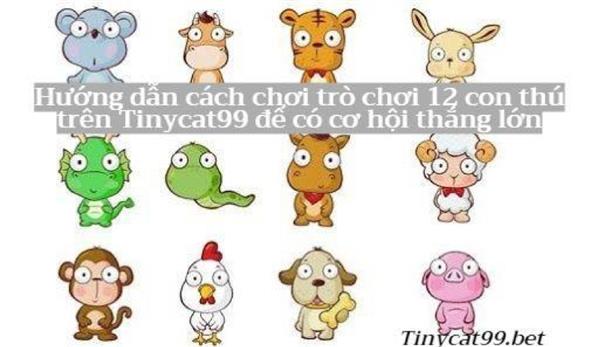 Hướng Dẫn Cách Chơi Trò 12 Con Thú Trên Tinycat99 Để Có Cơ Hội Trúng Thưởng Lớn