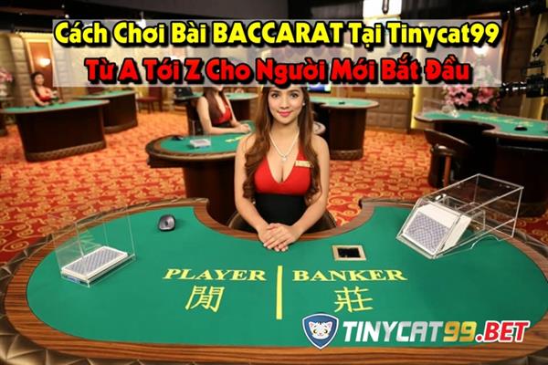 Chơi Baccarat Trên Tinycat99 - Đáng Để Anh Em Mạo Hiểm