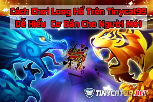 Hướng Dẫn Tường Tận Cách Chơi Long Hổ trên Tinycat99
