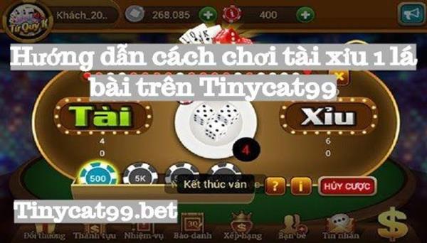 Hướng Dẫn Cách Chơi Tài Xỉu 1 Lá Bài Trên Tinycat99 Dễ Hiểu Dễ Chơi