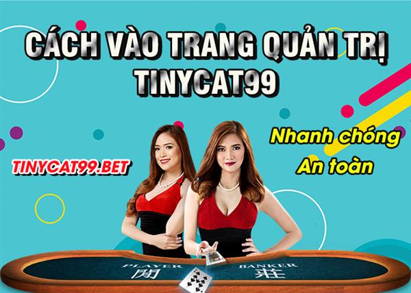 Cách Vào Trang Quản Trị Tinycat99 Nhanh Chóng An Toàn Nhất