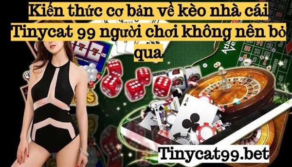 Kiến Thức Cơ Bản Về Kèo Nhà Cái Tinycat99 Người Chơi Cần Biết Rõ