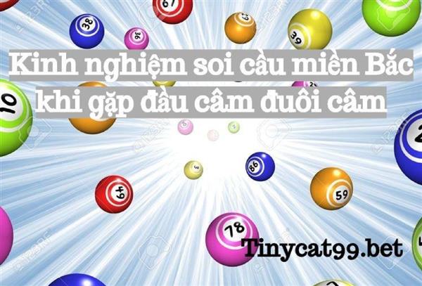 Kinh nghiệm soi cầu miền Bắc khi gặp đầu câm đuôi câm