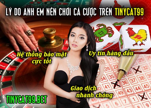 Lí Do Anh Em Nên Chọn Cá Cược Trên Tinycat99