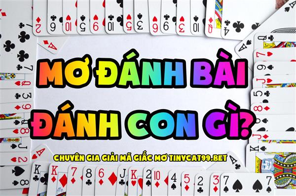 Mơ Thấy Đánh Bài Đánh Số Mấy? Tại Sao Lại Mơ Thấy Đánh Bài? 