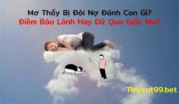 Mơ Thấy Bị Đòi Nợ Đánh Con Gì? Điềm Báo Lành Hay Dữ