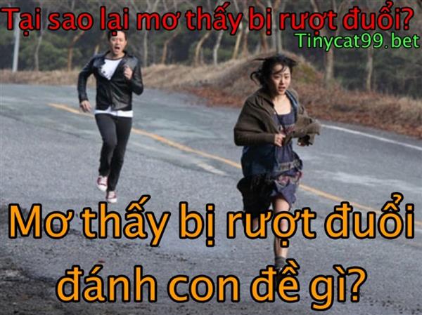 Mơ Thấy Bị Rượt Đuổi Đánh Con Gì? Bí Ẩn Và Ý Nghĩa Điềm Báo Khi Mơ Thấy Bị Đuổi