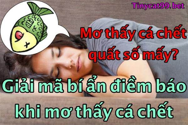 Mơ Thấy Cá Chết Là Điềm Báo Gì? Mơ Thấy Cá Chết Đánh Lô Đề Cho Là Đúng Nhất? 