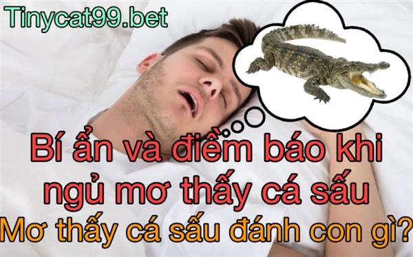 Nằm Mơ Thấy Cá Sấu Đánh Đề Con Gì? Giải Mã Giấc Mơ Cá Sấu