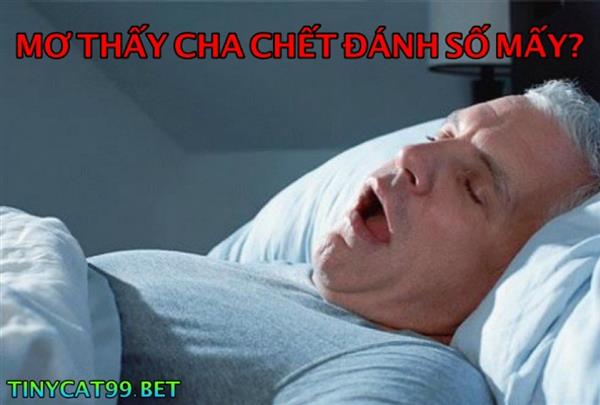 Mơ Thấy Cha Chết Đánh Con Nào? Giải Mã Cha Chết Số Mấy