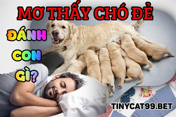 Mơ Thấy Chó Đẻ Đánh Số Nào Mới Dễ Trúng - Giải Mã Giấc Mơ Thấy Chó Đẻ