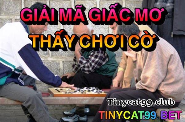Lý Giải Ý Nghĩa Của Giấc Mơ Thấy Đánh Cờ Là Gì? Đánh Số Mấy?