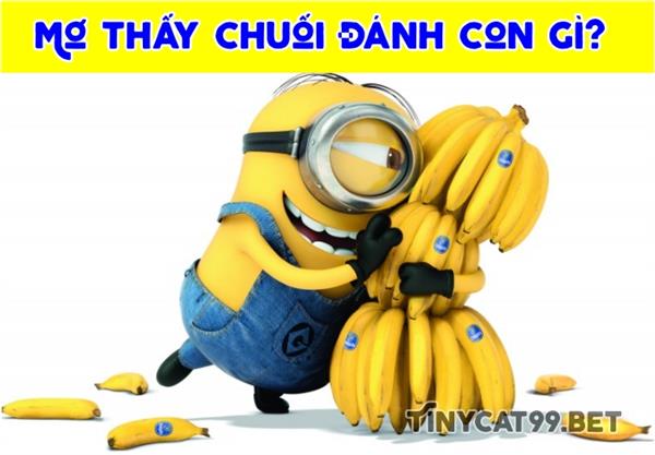 Nằm Mơ Thấy Chuối Đánh Con Gì? Giải Mã Giấc Mơ Thấy Chuối