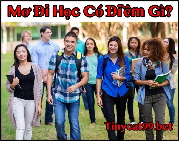 Bật Mí Siêu Chuẩn Nằm Mơ Thấy Đi Học Là Số Mấy? Giải Mã Mơ Đi Học