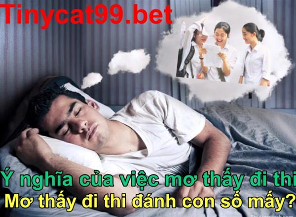 Mơ Thấy Đi Thi Đánh Con Số May Mắn Nào? Ý Nghĩa Khi Mơ Thấy Đi Thi