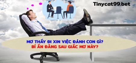 Mơ Thấy Đi Xin Việc Đánh Con Gì? Bí Ẩn Đằng Sau Giấc Mơ Này?