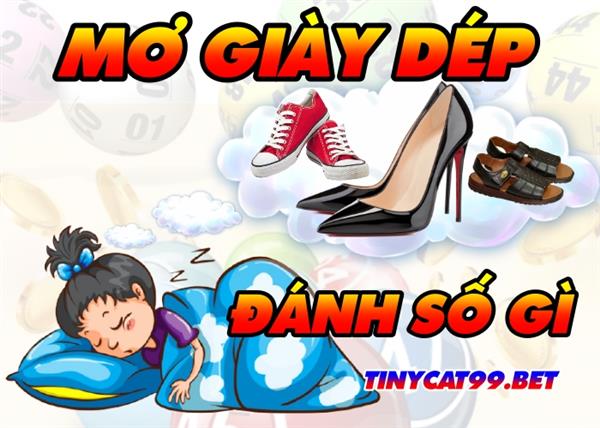 Mơ Thấy Đôi Dép Đánh Con Số Gì? Giải Mã Con Số Khi Mơ Về Giày Dép