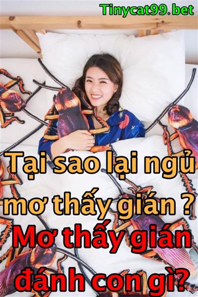 Mơ Thấy Gián Đánh Con Gì Trúng Đề 2 Nháy? Giải Mã Giấc Mơ