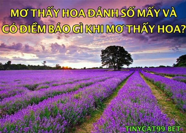 Nằm Mơ Thấy Hoa Đánh Con Gì? Giải Mộng Lô Đề Giấc Mơ Về Hoa
