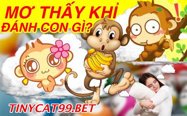 Mơ Thấy Khỉ Thì Đánh Con Gì? Con Số May Mắn Khi Mơ Thấy Khỉ?