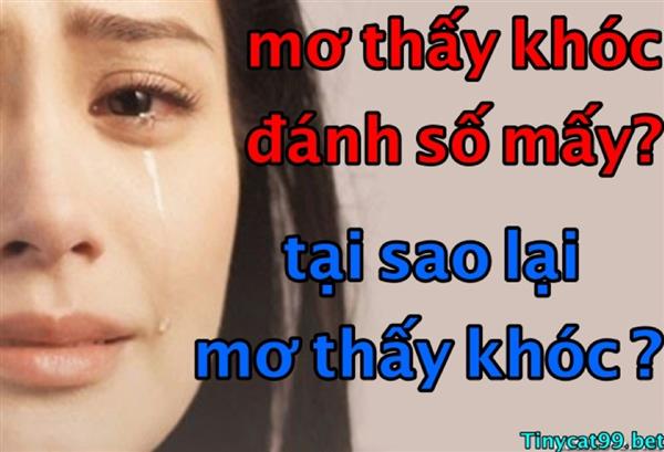 Mơ Thấy Khóc Đánh Con Đề Số Mấy? Giải Mã Bí Ẩn Khi Ngủ Mơ Thấy Khóc 