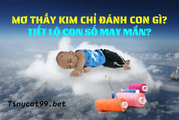 Mơ Thấy Kim Chỉ Đánh Con Gì? Tiết Lộ Con Số May Mắn?