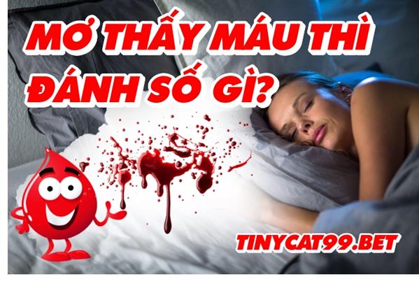 Mơ Thấy Máu Đánh Con Gì? Luận Giải Cho Ra Bộ Đề May Mắn Nhất