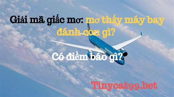 Giải Mã Giấc Mơ: Mơ Thấy Máy Bay Đánh Con Gì? Có Điềm Báo Gì?