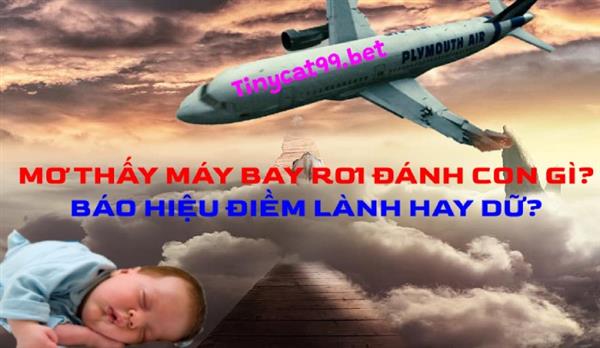 Mơ Thấy Máy Bay Rơi Đánh Con Gì? Báo Hiệu Điềm Lành Hay Dữ?