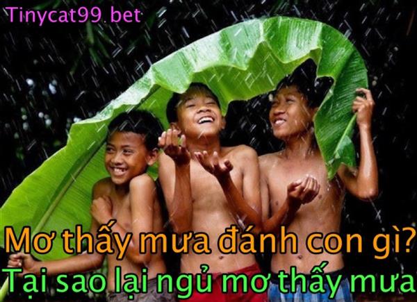 Nằm Mơ Thấy Mưa Đánh Con Gì? Bí Ẩn Khi Ngủ Mơ Thấy Mưa 