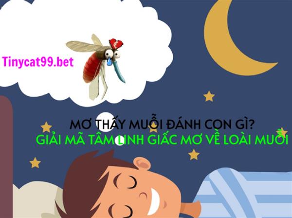 Mơ Thấy Muỗi Đánh Con Gì? Giải Mã Tâm Linh Giấc Mơ Về Loài Muỗi