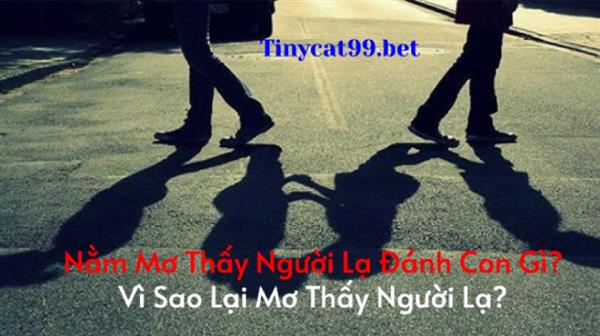 Nằm Mơ Thấy Người Lạ Đánh Con Gì? Vì Sao Lại Mơ Thấy Người Lạ?
