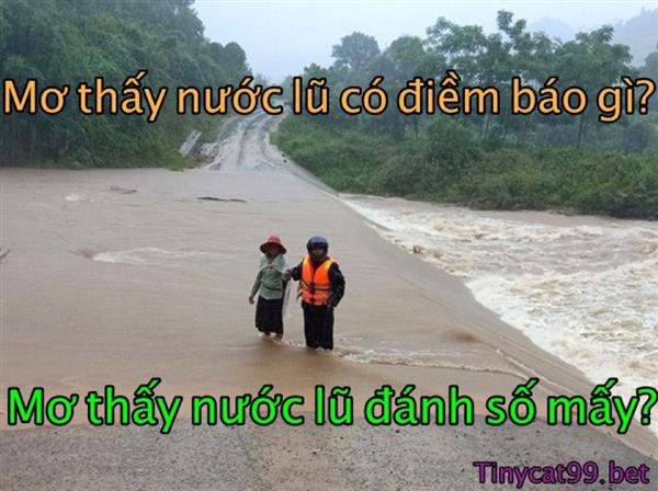 Nằm Mơ Thấy Nước Lũ Thì Đánh Đề Con Nào? Ý Nghĩa Giấc Mơ Nước Lũ
