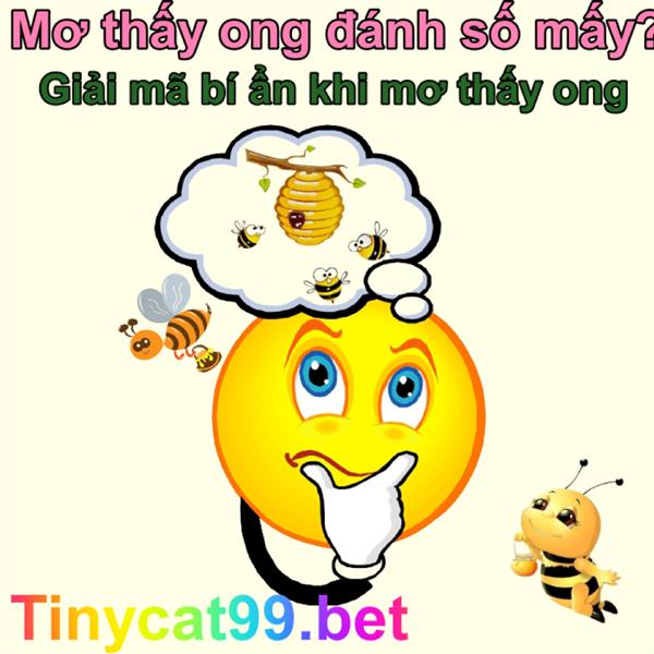 Mơ Thấy Ong Đánh Số Mấy - Bí Ẩn Con Số Và Ý Nghĩa Giấc Mơ Thấy Ong 