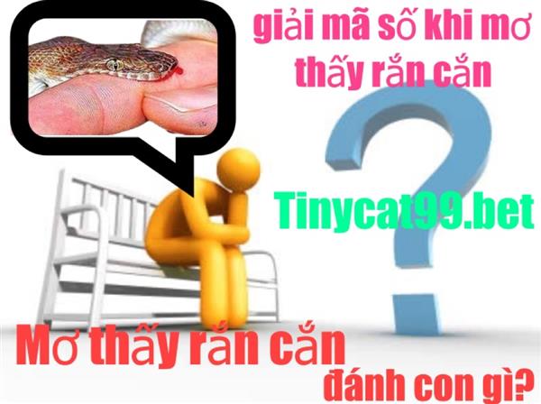 Nằm Mơ Thấy Rắn Cắn Thì Nên Đánh Đề Nào? Và Liệu Nó Có Ý Nghĩa Gì Hay Không?