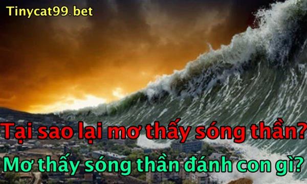 Mơ Thấy Sóng Thần Có Điềm Báo Gì? Ý Nghĩa Khi Mơ Thấy Sóng Thần