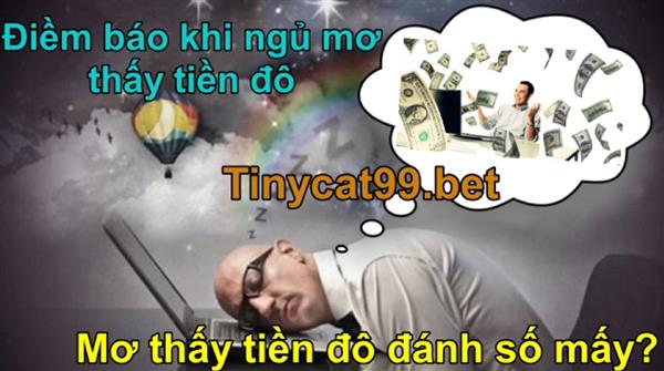 Mơ Thấy Tiền Đô Có Vận Hạn Gì? Giải Mã Giấc Mơ Khi Mơ Thấy Tiền Đô Đánh Số Mấy