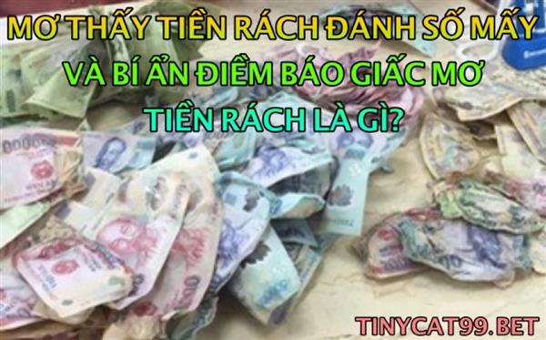 Mơ Thấy Tiền Rách Đánh Con Gì? Giải Mộng Chiêm Bao Giấc Mơ Tiền Rách