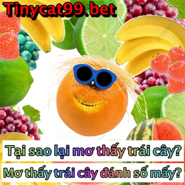 Nằm Mơ Thấy Trái Cây Đánh Con Gì? Mơ Thấy Trái Cây Mang Lại Ý Nghĩa Gì?
